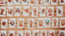 Netter Anatomy Playing Cards